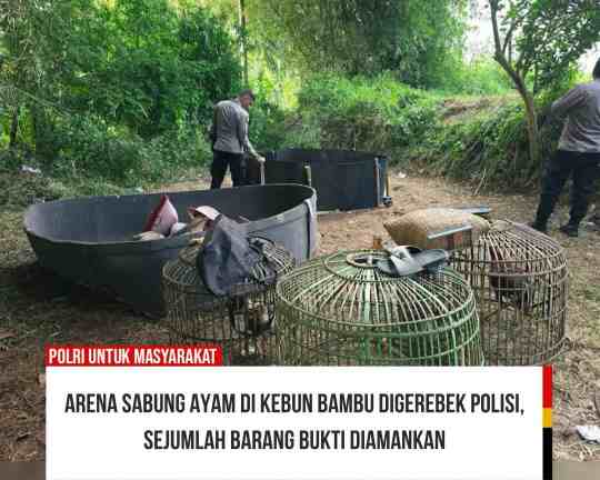 FB_IMG_1780766638770